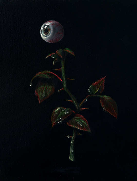 Beauty is in the Eye