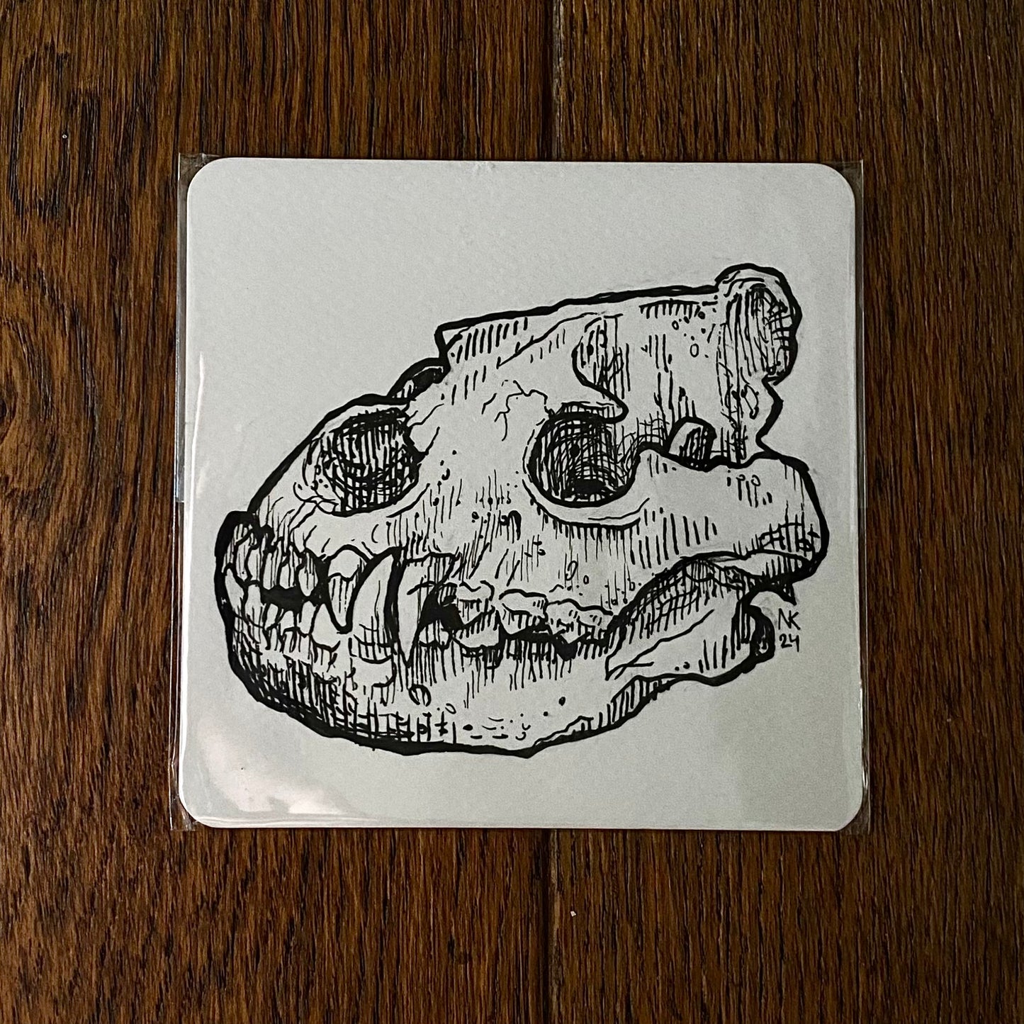 Skull Sketch